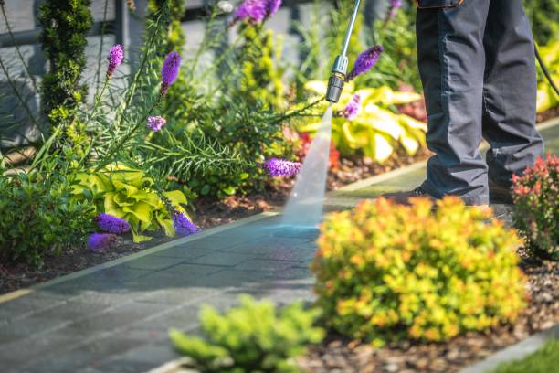 Fresno, CA Pressure Washing Services Company